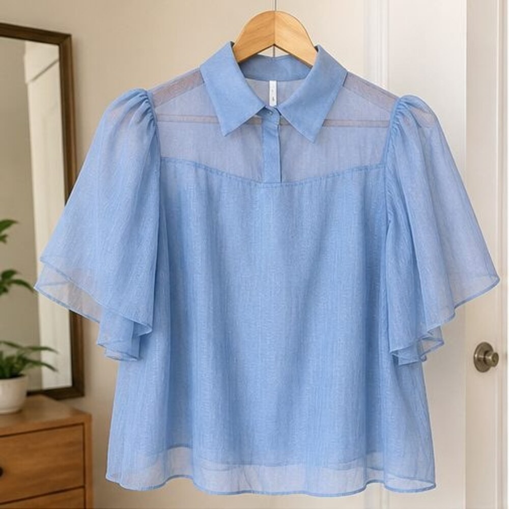 Blue Ruffle Blouse
